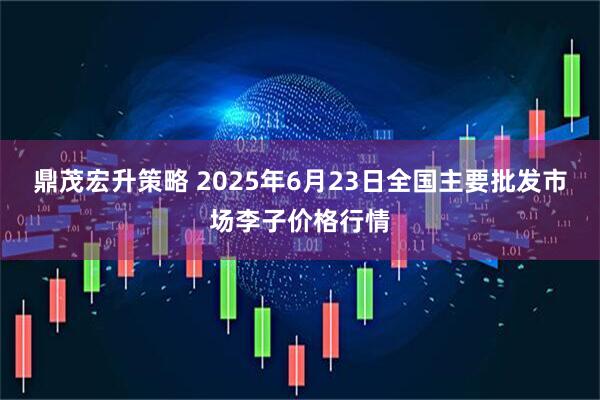 鼎茂宏升策略 2025年6月23日全国主要批发市场李子价格行情