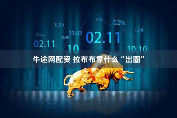 牛途网配资 拉布布靠什么“出圈”
